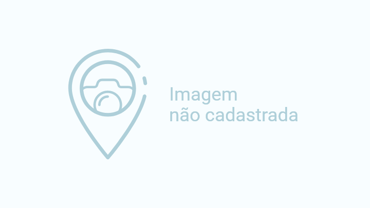 STL - Tradicional Festa de Agosto